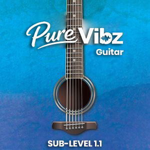 Guitar Level 1.1