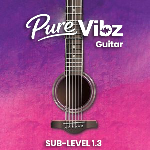 Guitar Level 1.3